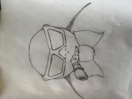 Image Trademark