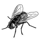 Image Trademark
