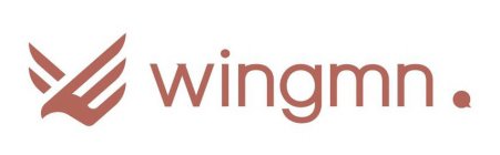 WINGMN