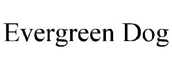 EVERGREEN DOG