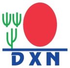 DXN