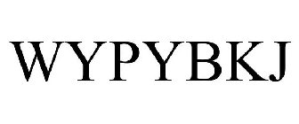 WYPYBKJ