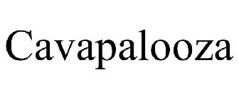 CAVAPALOOZA