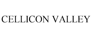 CELLICON VALLEY