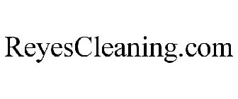 REYESCLEANING.COM