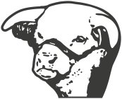 Image Trademark