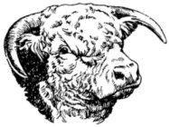 Image Trademark