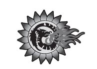 Image Trademark