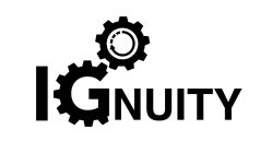 IGNUITY