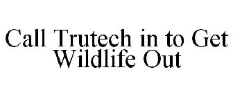CALL TRUTECH IN TO GET WILDLIFE OUT