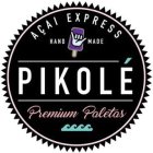 AÇAI EXPRESS HAND MADE PIKOLÉ PREMIUM PALETAS