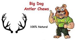 BIG DOG ANTLER CHEWS 100% NATURAL