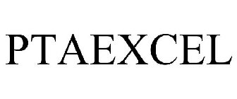 PTAEXCEL