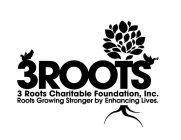 3ROOTS 3ROOTS CHARITABLE FOUNDATION, INC. ROOTS GROWING STRONGER BY ENHANCING LIVES.