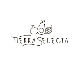 TIERRA SELECTA