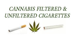 CANNABIS FILTERED & UNFILTERED CIGARETTES