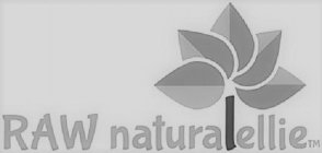 RAW NATURALELLIE