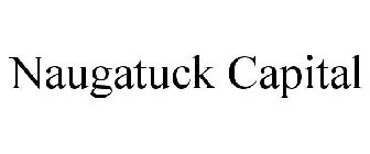 NAUGATUCK CAPITAL