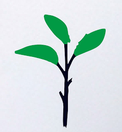 Image Trademark