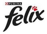 PURINA FELIX