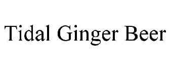 TIDAL GINGER BEER