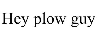 HEY PLOW GUY
