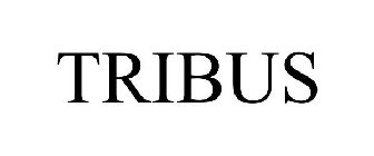 TRIBUS