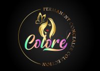 PERMANENT CONCEALER COLLECTION COLORE'