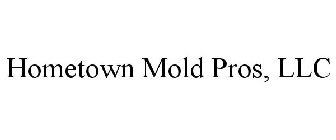 HOMETOWN MOLD PROS, LLC