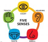 FIVE SENSES TOUCH SIGHT HEARING SMELL TASTE