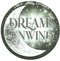 DREAMS UNWIND A TRUE STEVIE NICKS EXPERIENCE