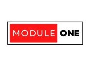 MODULE ONE