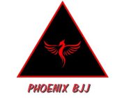 PHOENIX BJJ