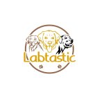 LABTASTIC