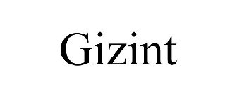 GIZINT