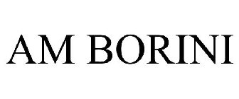 AM BORINI
