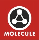 MOLECULE