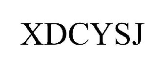 XDCYSJ