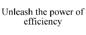 UNLEASH THE POWER OF EFFICIENCY