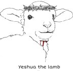 YESHUA THE LAMB