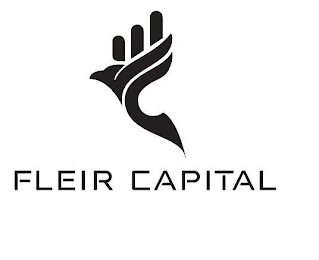 FLEIR CAPITAL