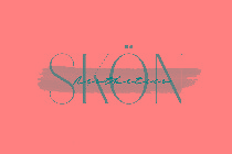 SKÖN AESTHETICS