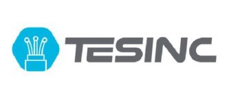 TESINC