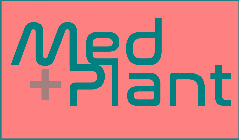 MED + PLANT