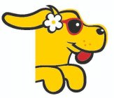 Image Trademark