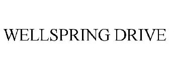 WELLSPRING DRIVE