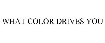 WHAT COLOR DRIVES YOU