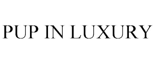 PUP IN LUXURY