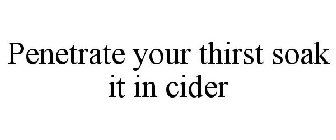 PENETRATE YOUR THIRST SOAK IT IN CIDER