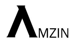 AMZIN